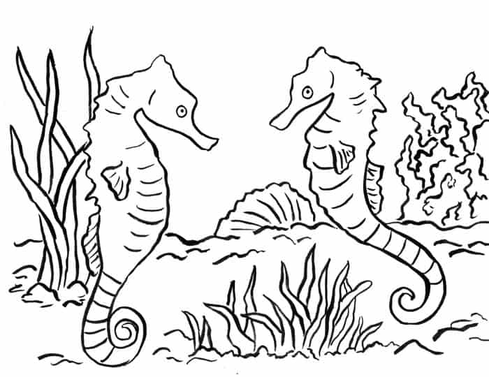 Seahorse Ocean Coloring Pages