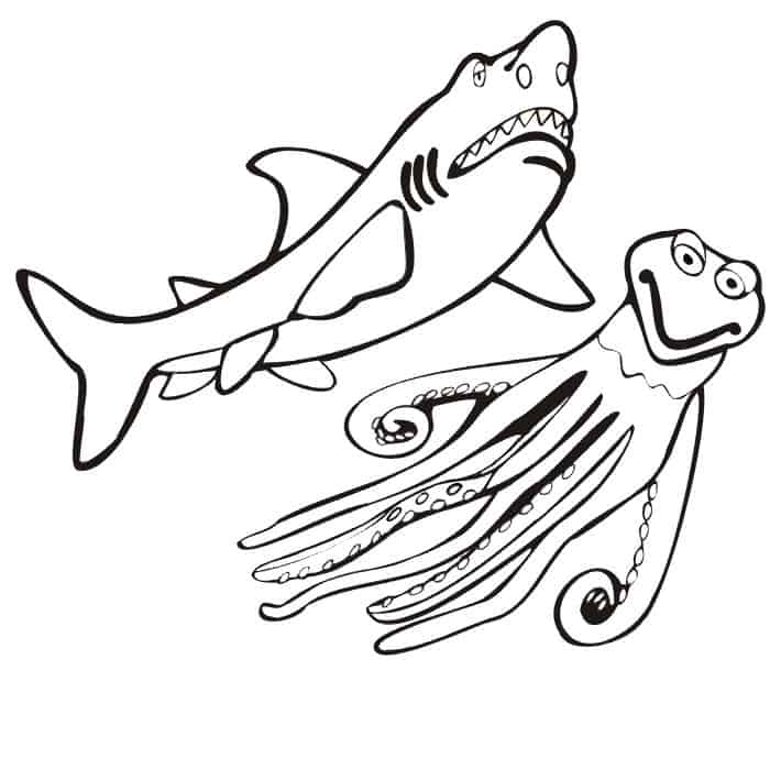 Shark Coloring Pages Pdf