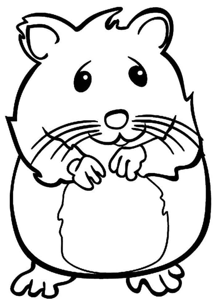 Small Hamster Coloring Pages