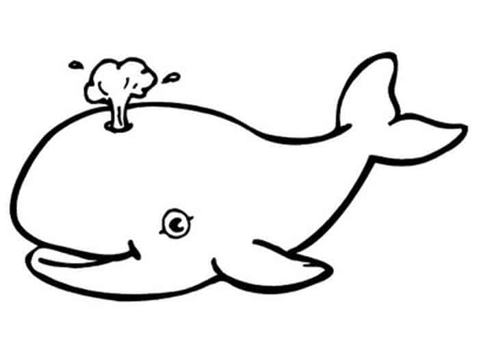 Smart Coloring Pages Whale