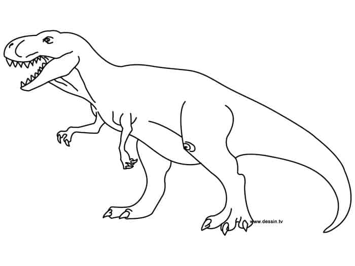 T Rex Coloring Pages Printables
