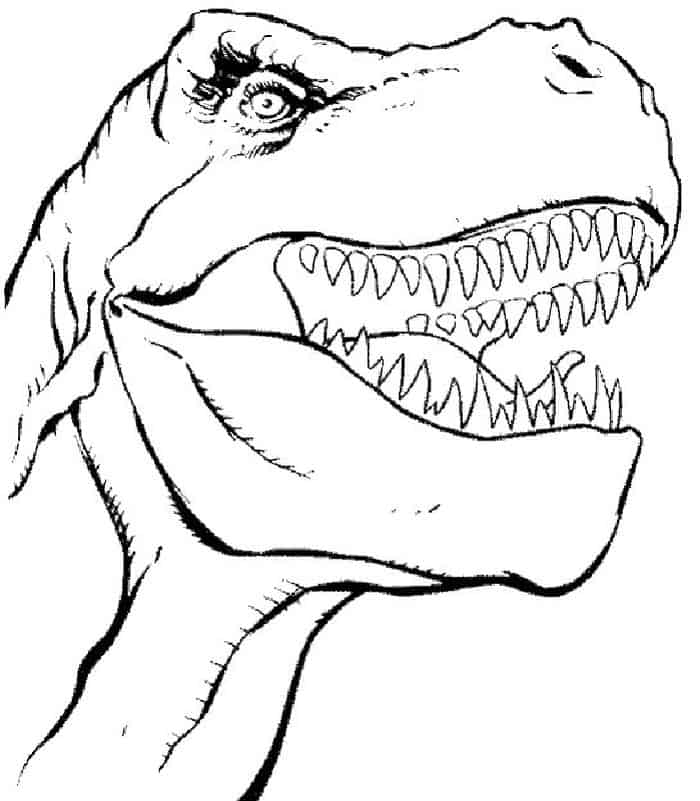 T Rex Head Coloring Pages For Adults