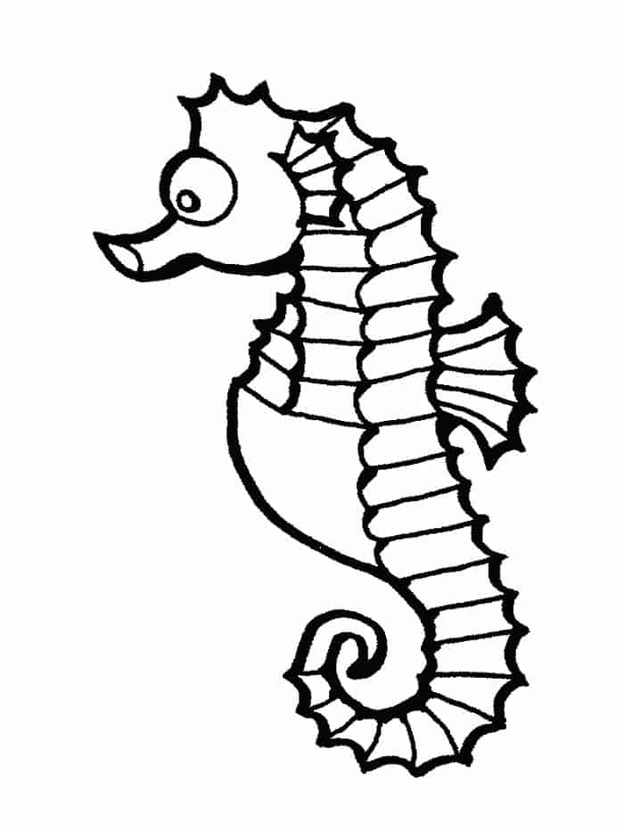 Team Umizoomi Coloring Pages Seahorse
