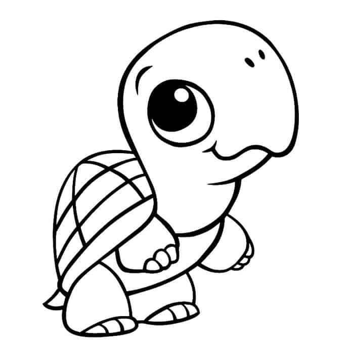 Turtle Coloring Pages For Preschoolers