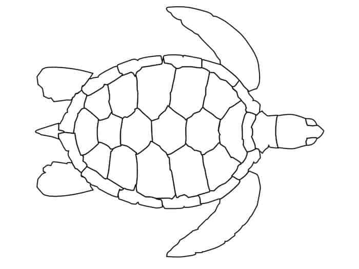 Turtle Printable Coloring Pages