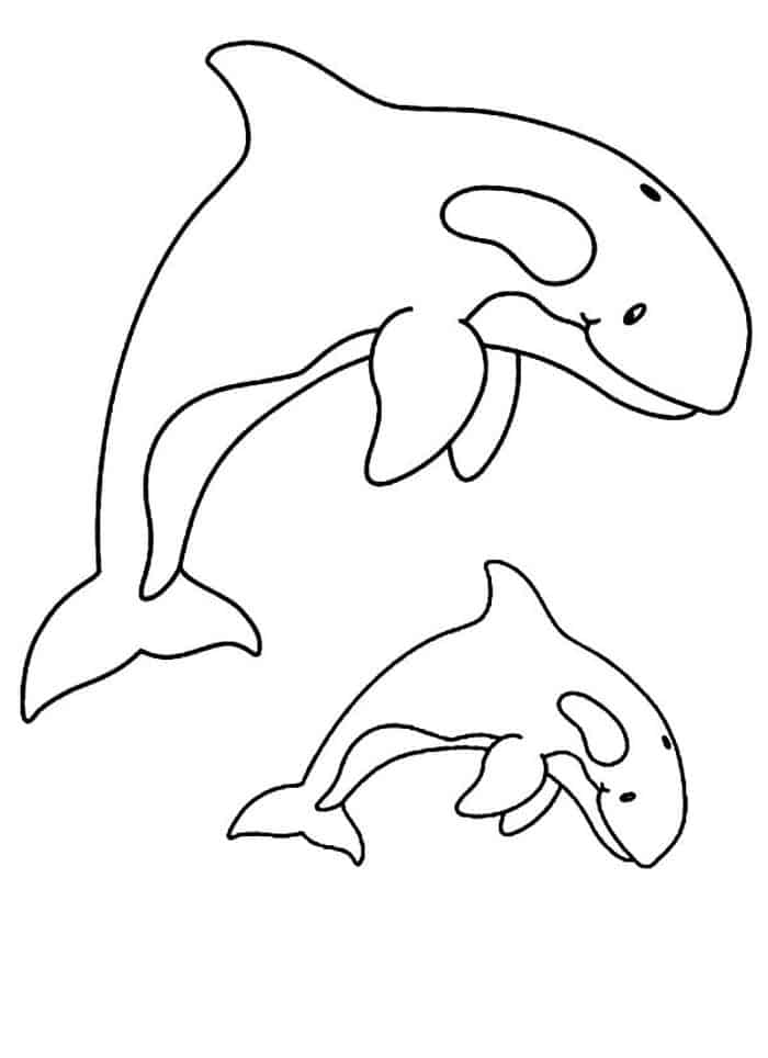 Whale Coloring Book Pages