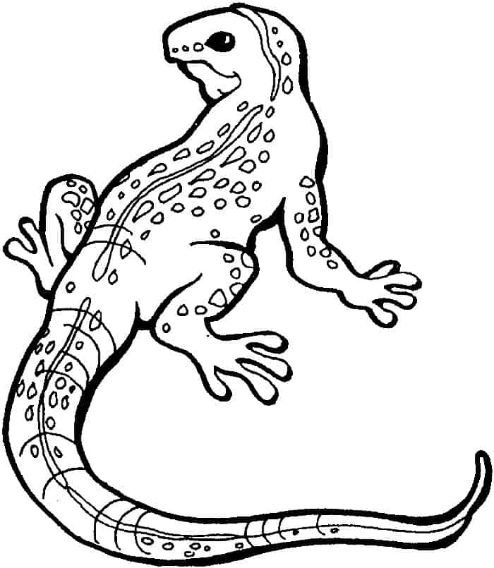 Whiptail Lizard Coloring Pages For Adults