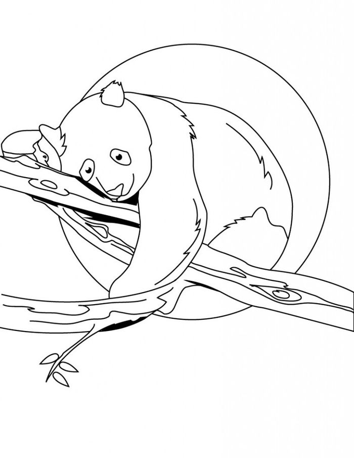 Adult Coloring Pages Panda