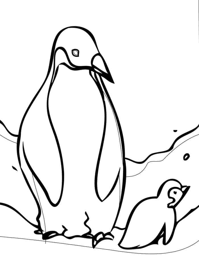 Adult Coloring Pages Penguin