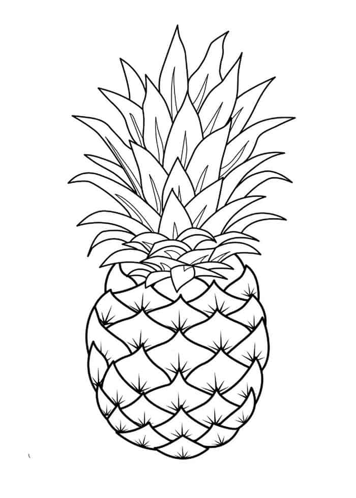 Adult Coloring Pages Pineapple
