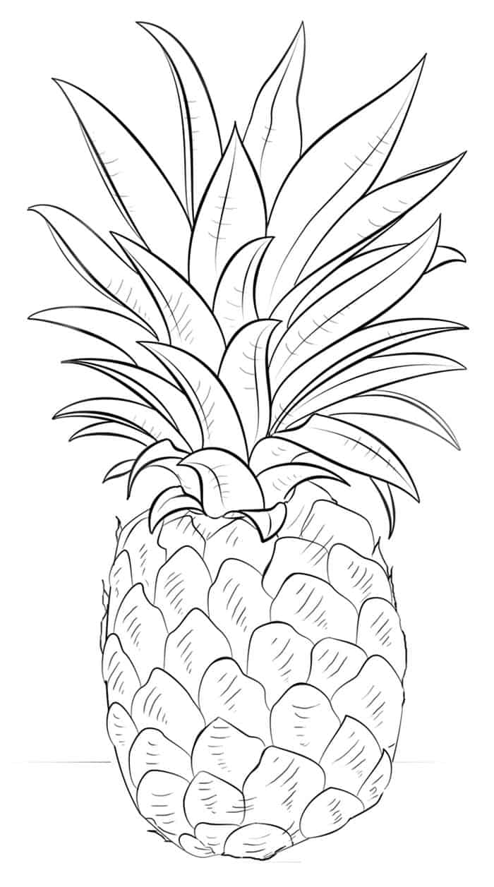 Adult Pineapple Coloring Pages