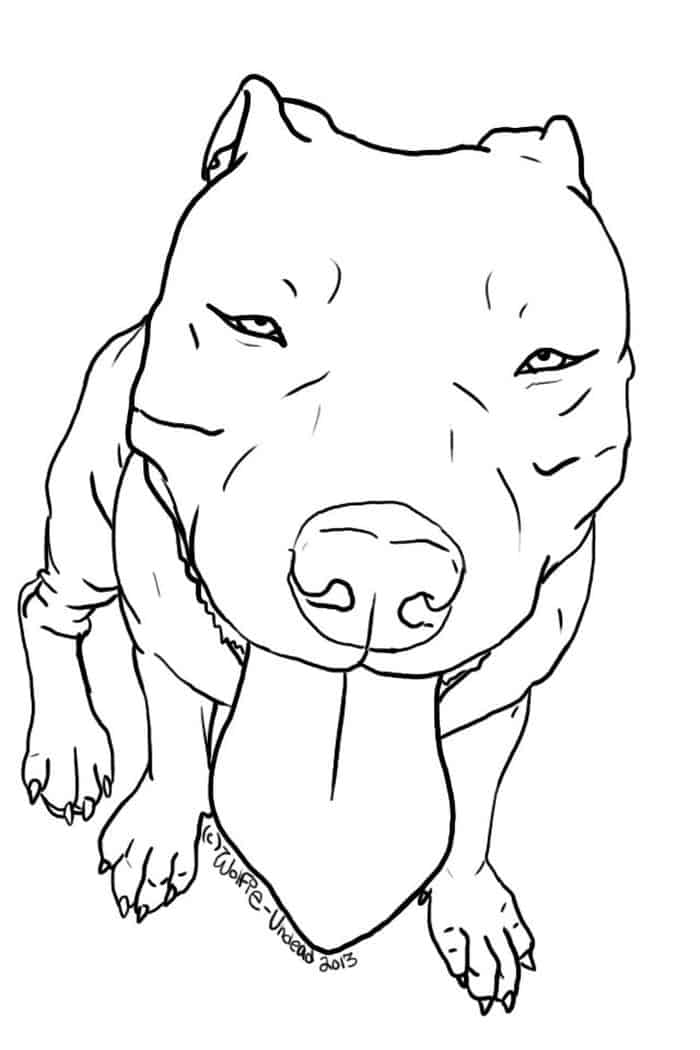 Adult Pitbull Dog Coloring Pages