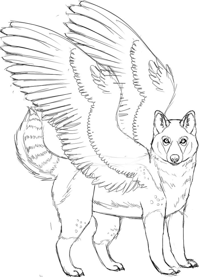 Angel Husky Coloring Pages Printable