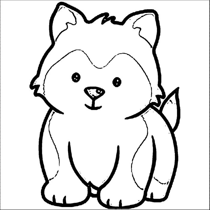 Baby Siberian Husky Coloring Pages