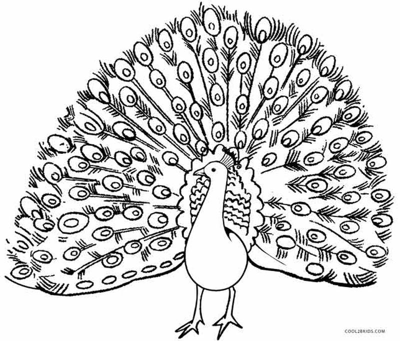 Beautiful Peacock Coloring Pages