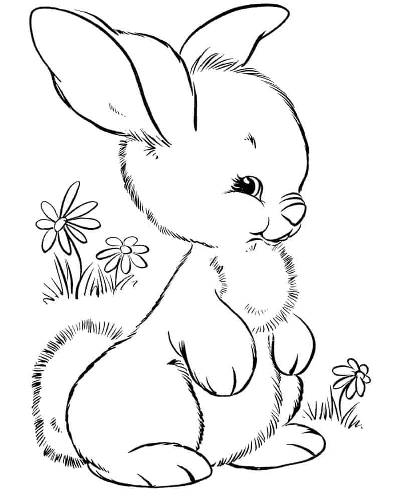 Bunny Coloring Pages Printable 1