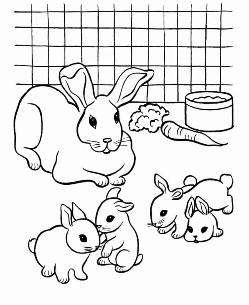 Bunny Coloring Pages To Print 1