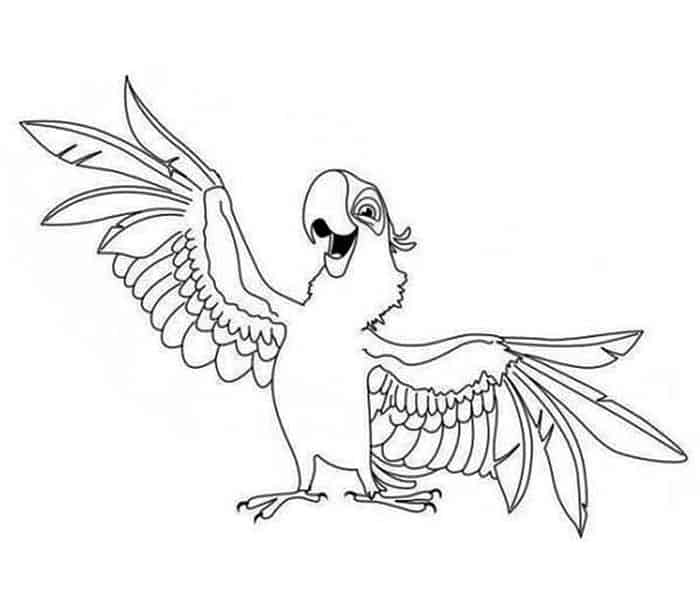 Cartoon Parrot Coloring Pages