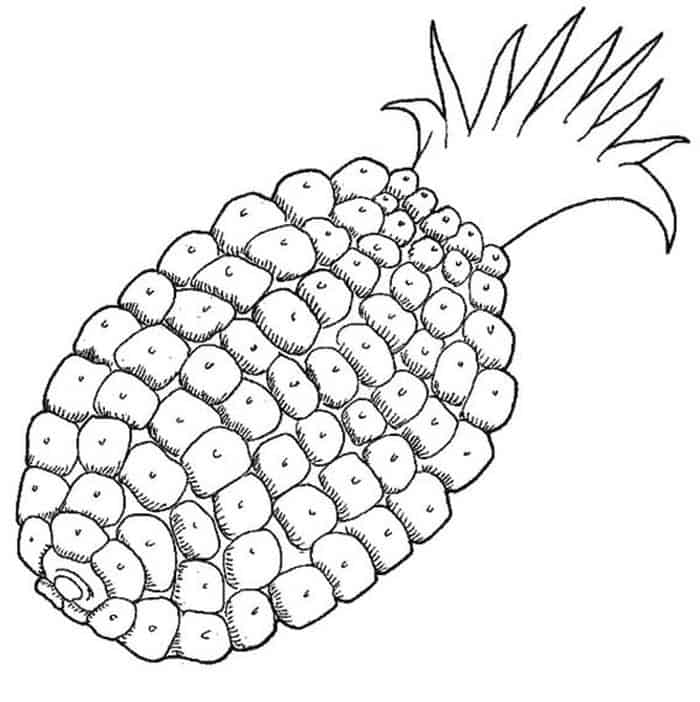 Coloring Pages Designed Pineapple