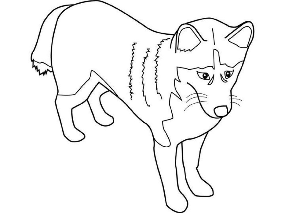 Coloring Pages For Husky Puppies