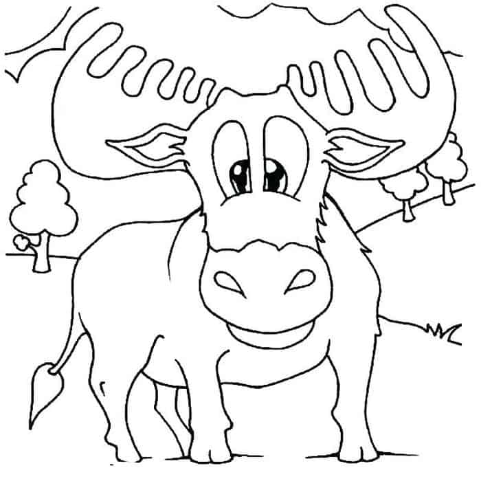 Coloring Pages Of A Moose