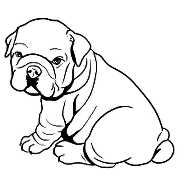 Coloring Pages Of A Pitbull