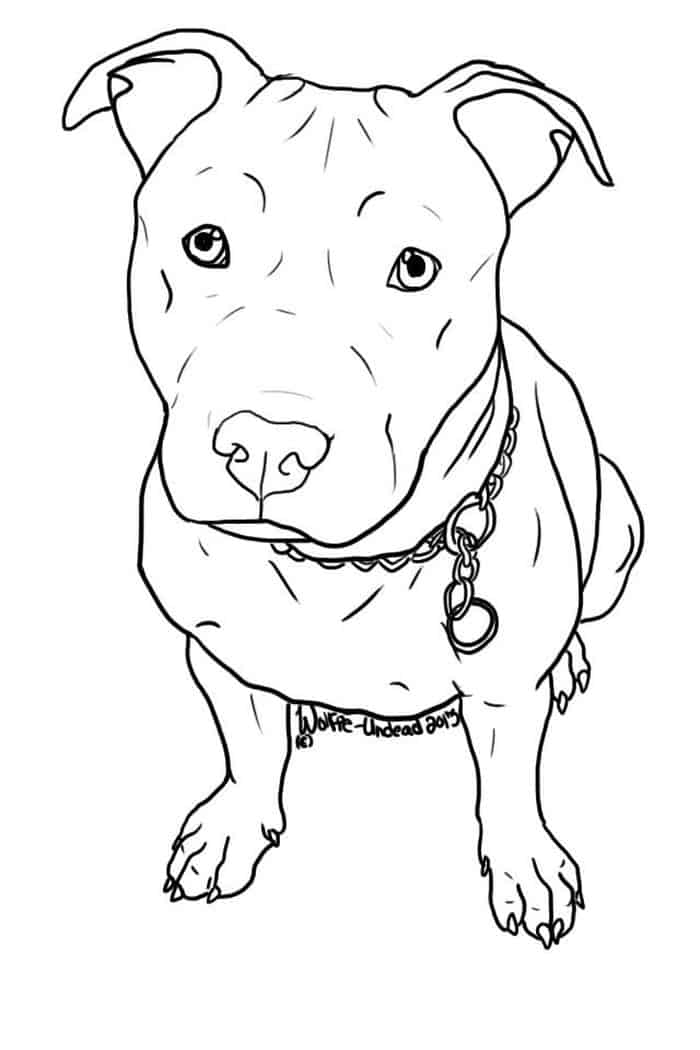Coloring Pages Of Pitbull Dogs