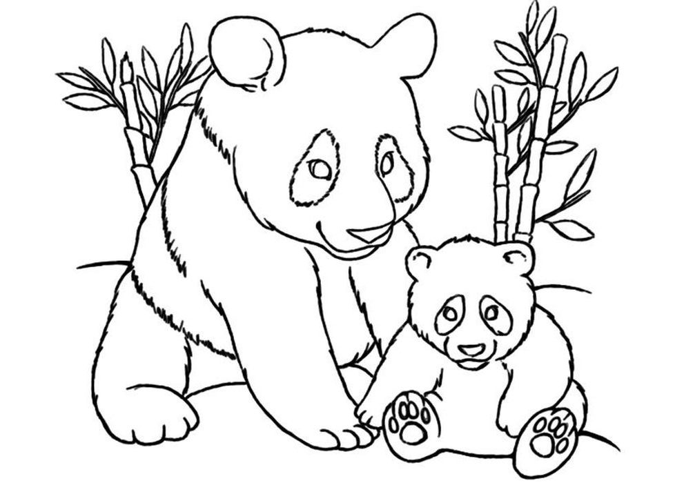 Coloring Pages Panda