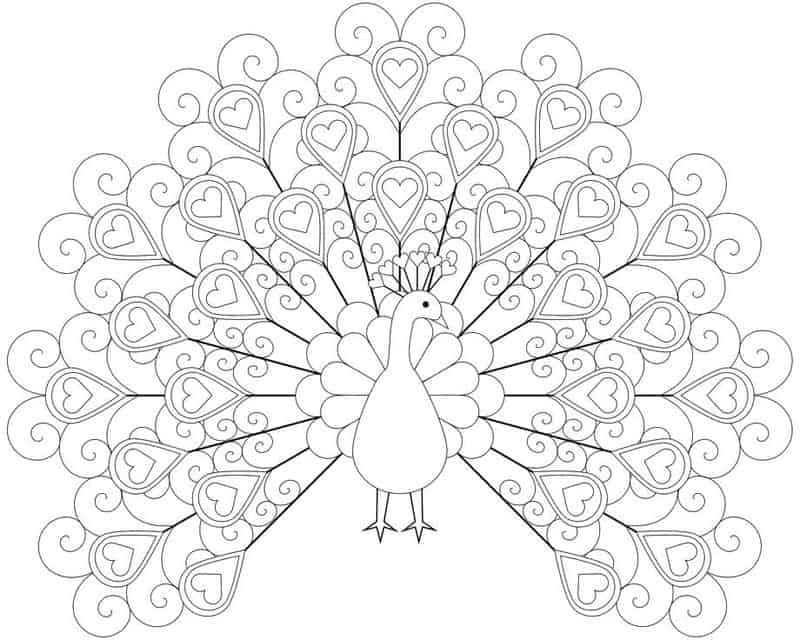 Coloring Pages Peacock