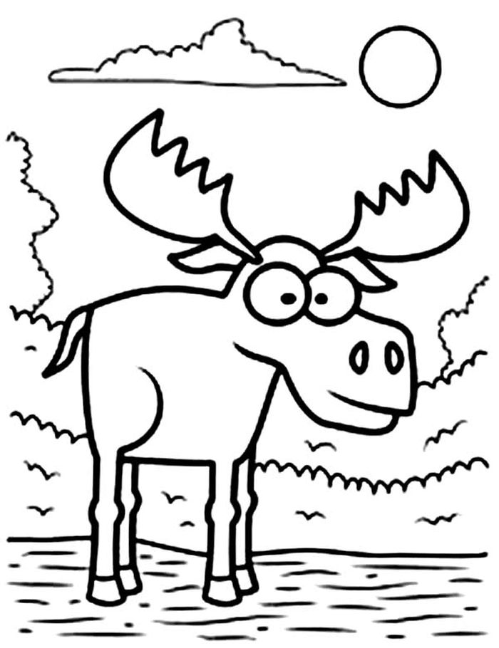 Cute Animal Coloring Pages Moose