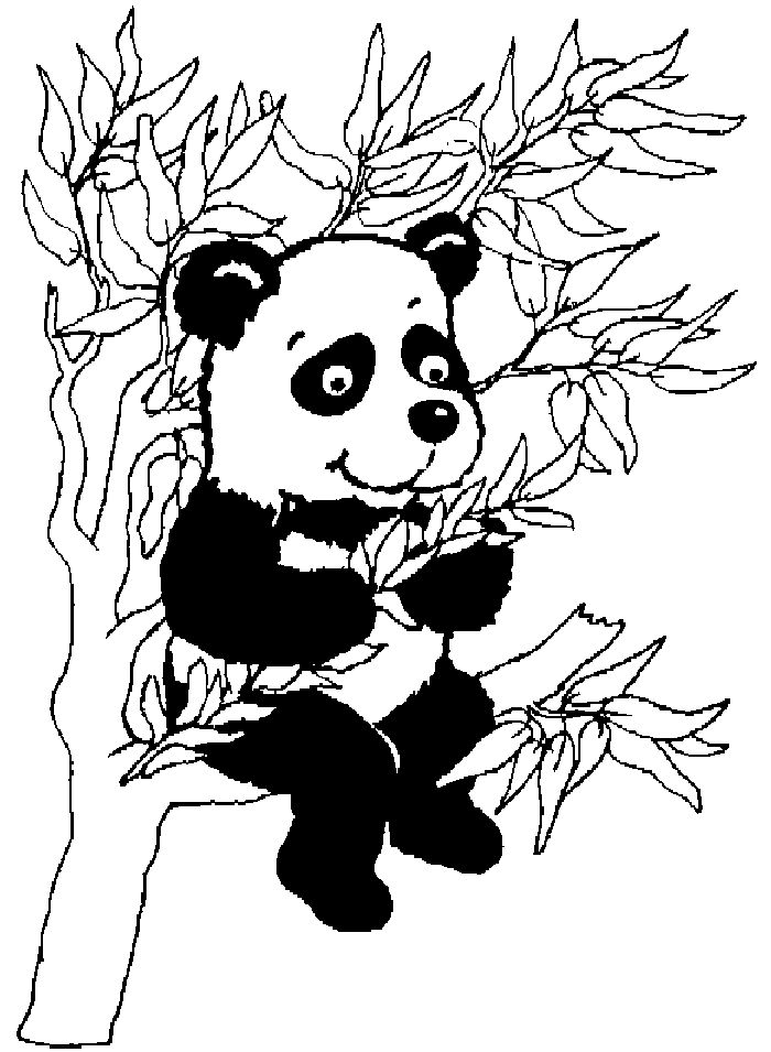 Cute Baby Panda Coloring Pages