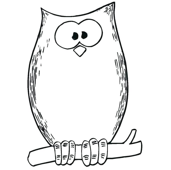 Cute Owl Coloring Pages To Print