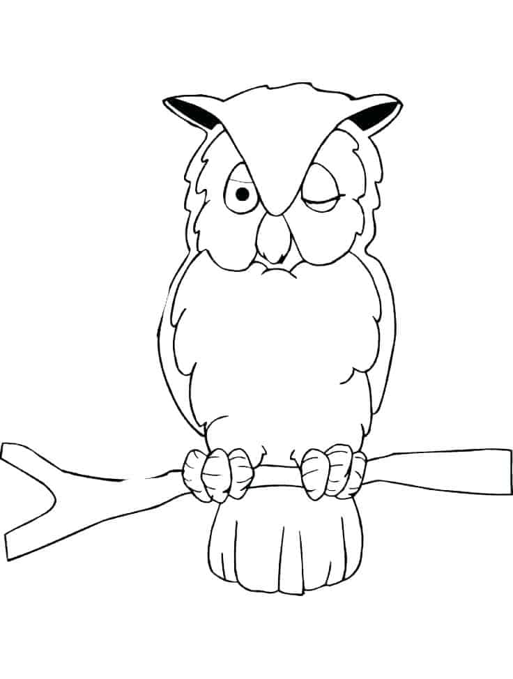 Cute Owl Printable Coloring Pages