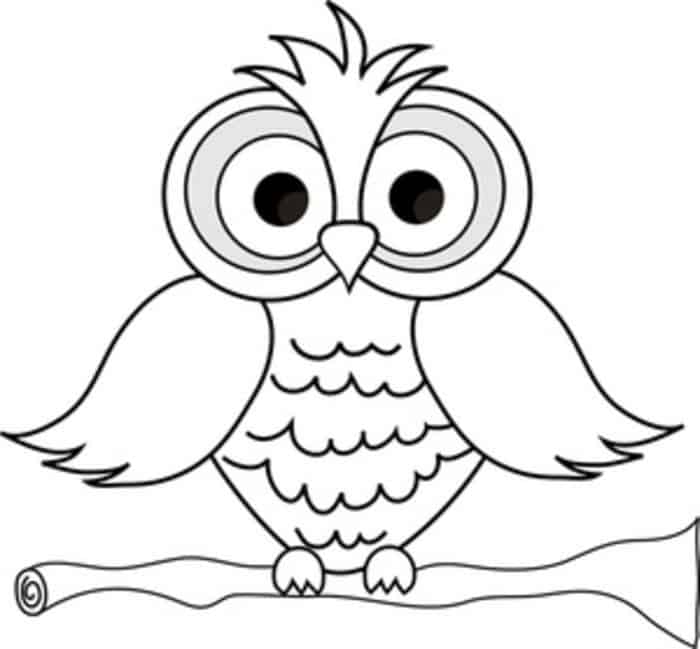 Day Of The Dead Owl Coloring Pages