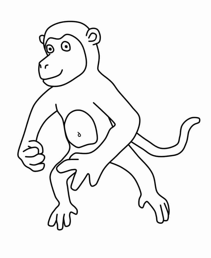Easy Cute Monkey Coloring Pages