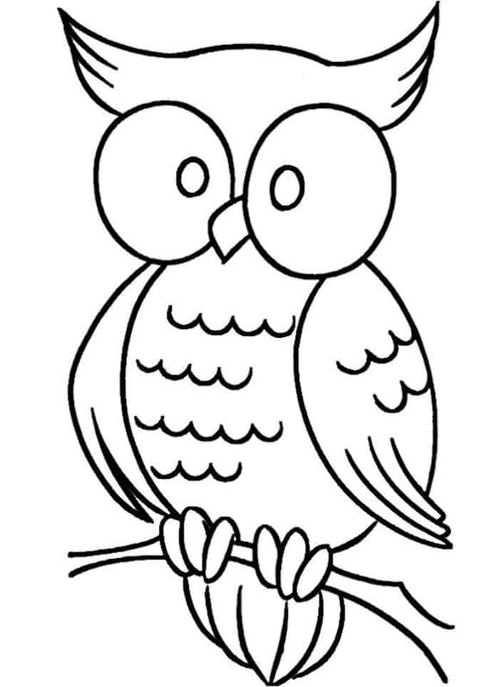 Elf Owl Coloring Pages