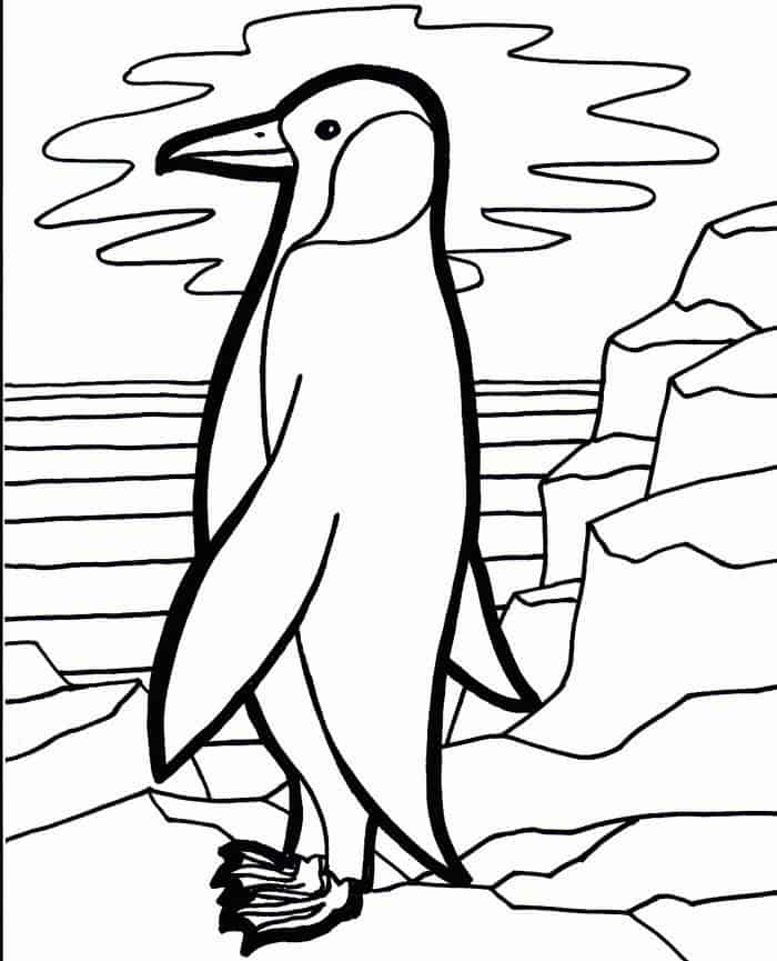 Emperor Penguin Coloring Pages Print