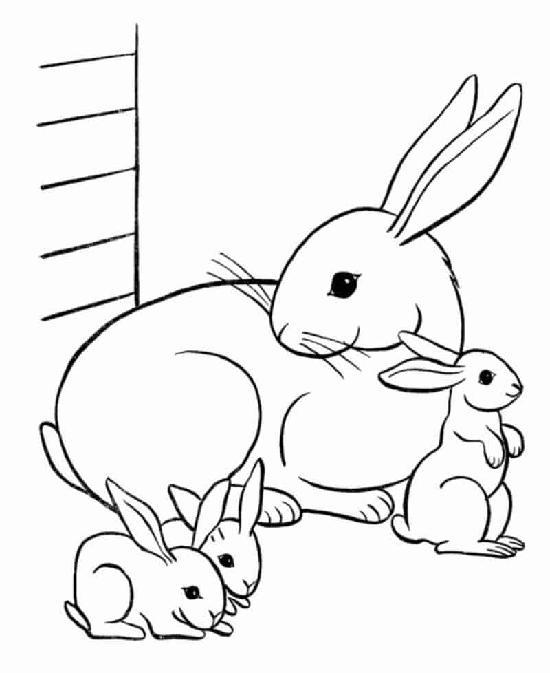 Free Bunny Coloring Pages