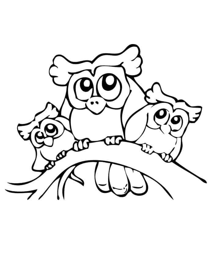 Free Coloring Pages Owl