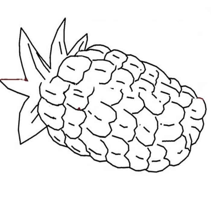 Free Coloring Pages Printable Pineapple