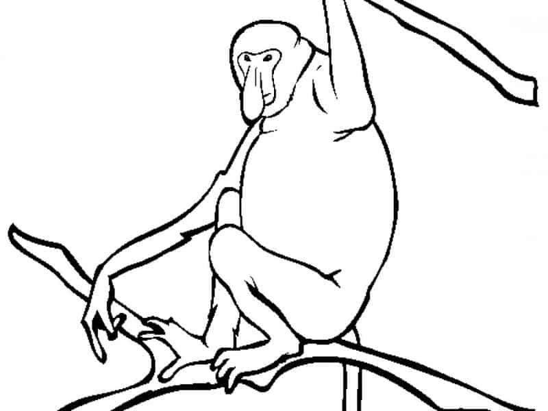 Free Monkey Coloring Image