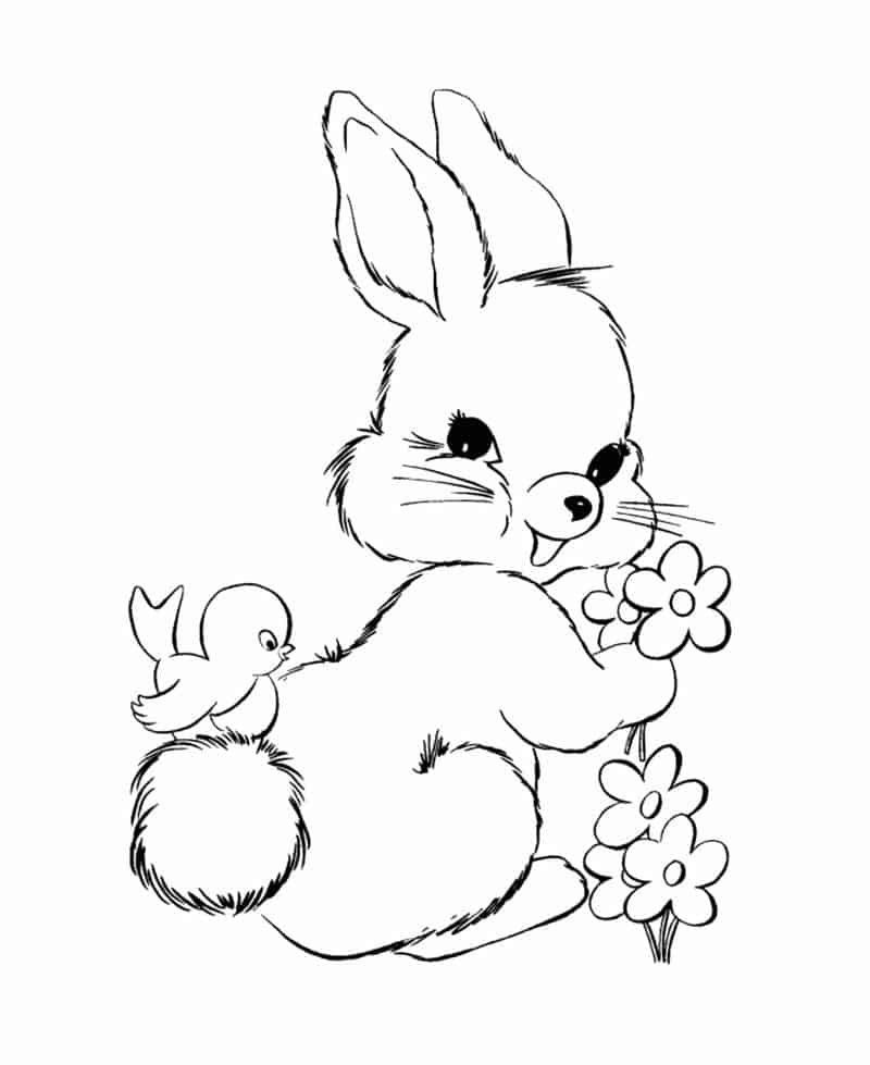 Free Printable Bunny Coloring Page