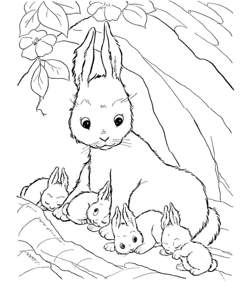 Free Printable Bunny Coloring Pages 1