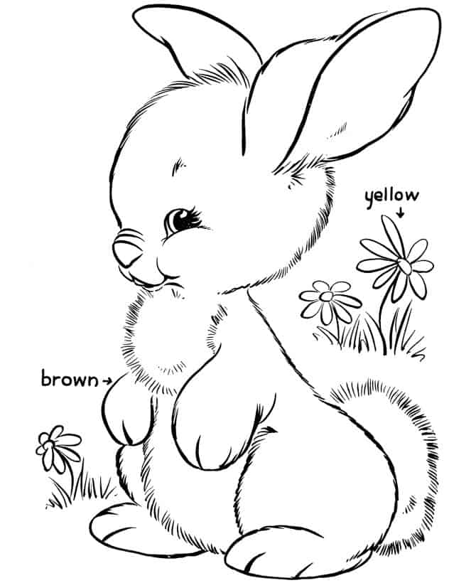 Funny Bunny Coloring Pages