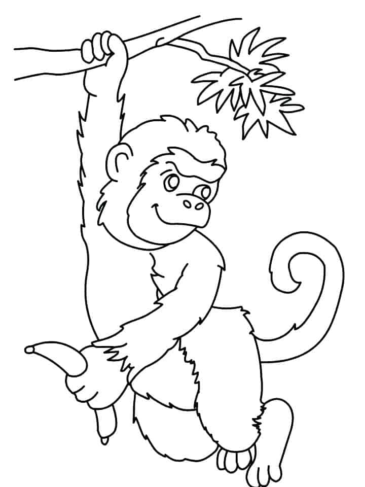 Girl Monkey Coloring Pages