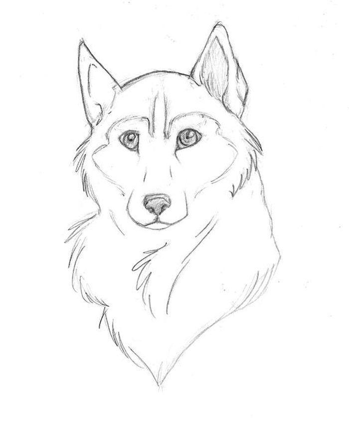 Hard Pattern Coloring Pages Siberian Husky