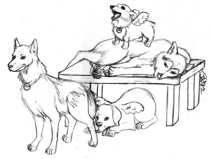 Hard Wolfs And Husky Coloring Pages Free