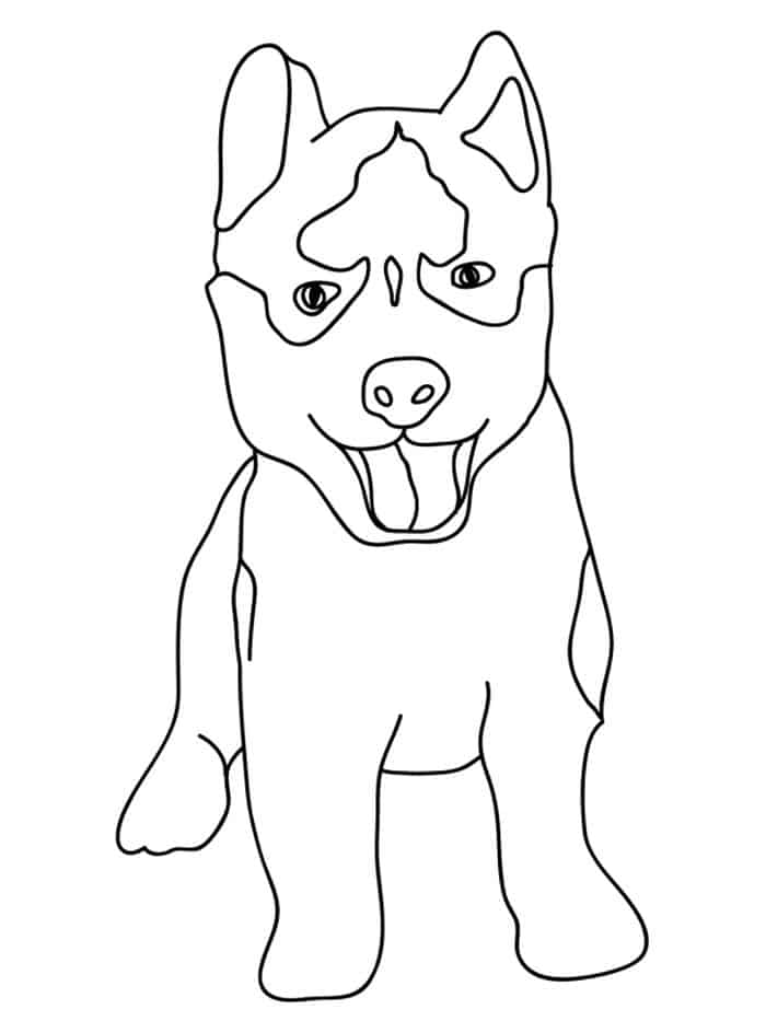 Husky Puppies Coloring Pages