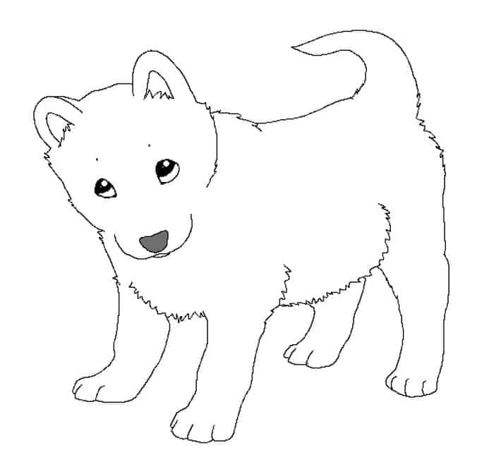 Husky Puppy Coloring Pages