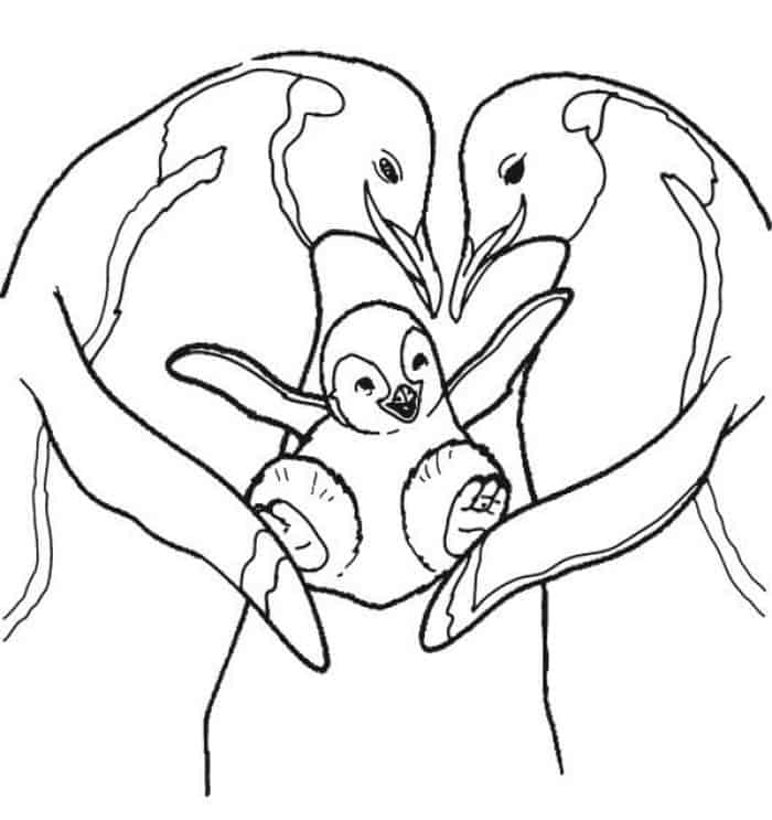 King Penguin Coloring Pages